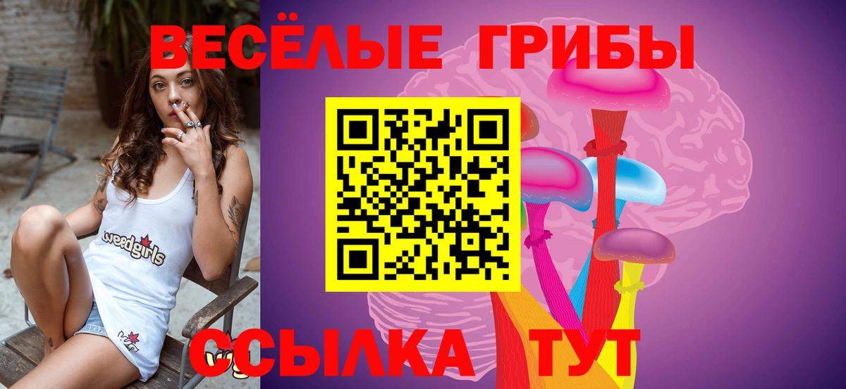 Галлюциногенные грибы Magic Shrooms Кировск