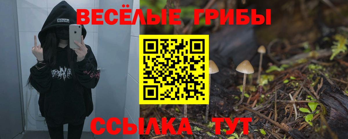 Кировск  Псилоцибиновые грибы ЛСД  Галлюциногенные грибы прущие грибы  Вход с VPN 